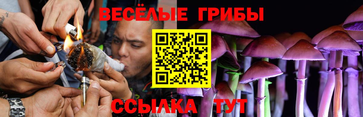 Псилоцибиновые грибы Magic Shrooms  Вход с VPN  Назрань 